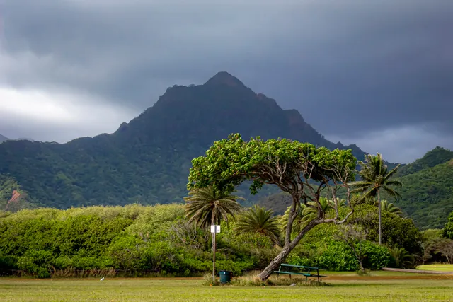 49-479 Kamehameha Highway Parking