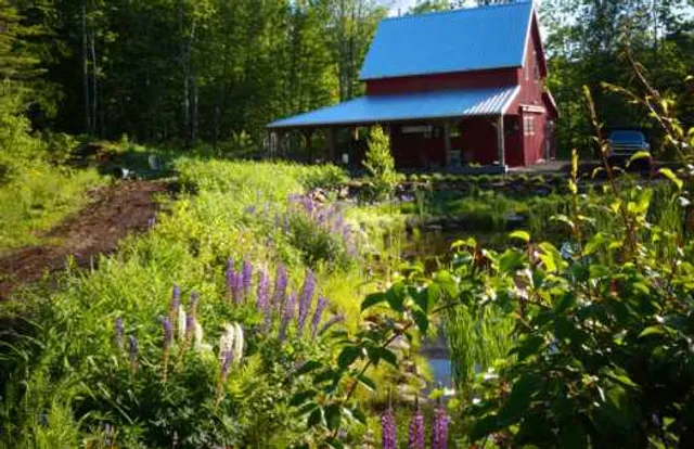 Birchwood Lodge and Farmette