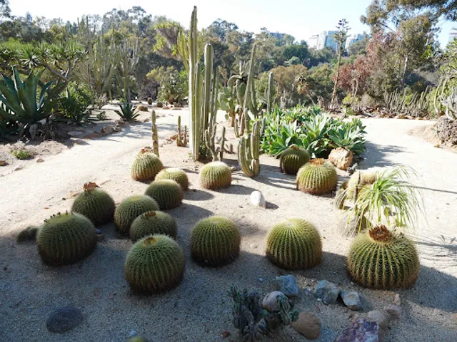 Kate O Sessions Cactus Garden