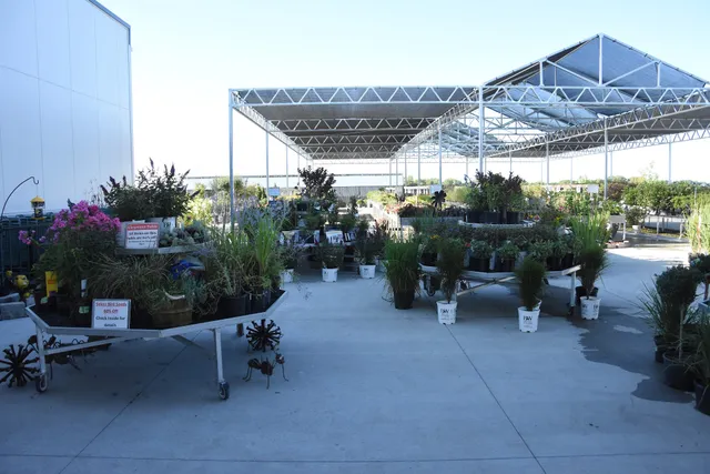 Bentley Ridge Tree Farm & Nursery