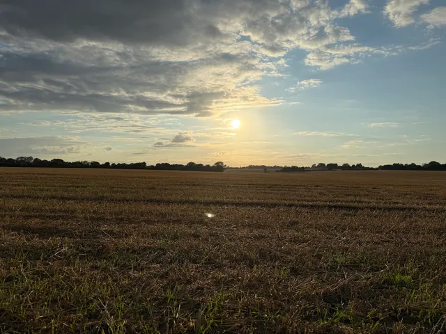 Holly Tree Farm Barns