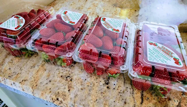 Terry Berries