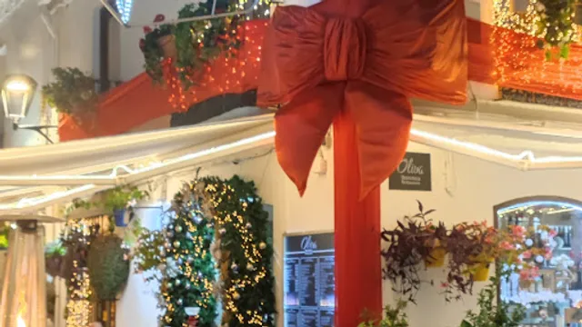 Oliva Iberoteca Restaurante Estepona