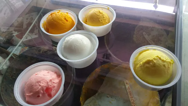 Shree Ji Ice Cream & Santosh Dairy