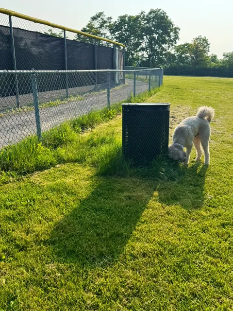 Green Tree Dog Park (Restricted, Residents Only)