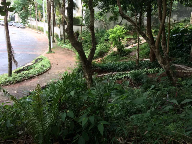 Parque Andrade