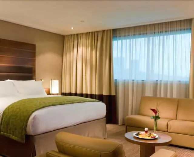 FabExpress Modesty le Mount