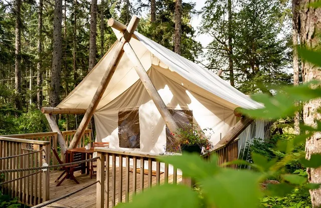 Haida Gwaii Glamping Co.