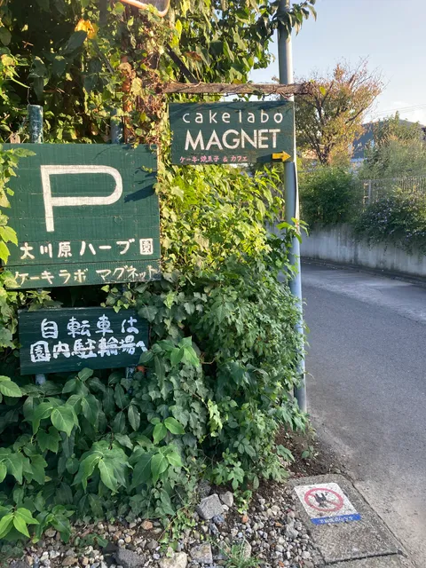 photo-2
