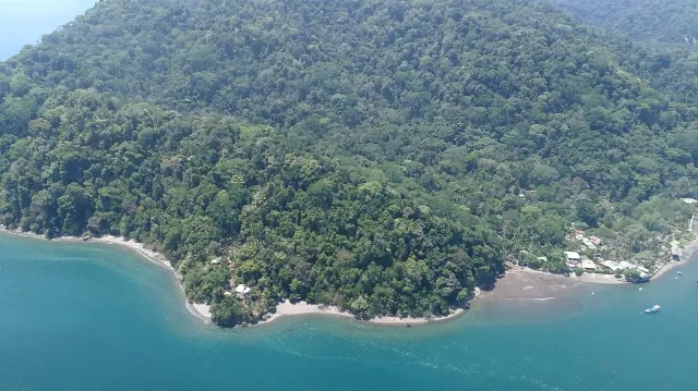 Treetop Camping and Forest Reserve