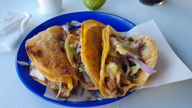 Tacos de Birria Gera