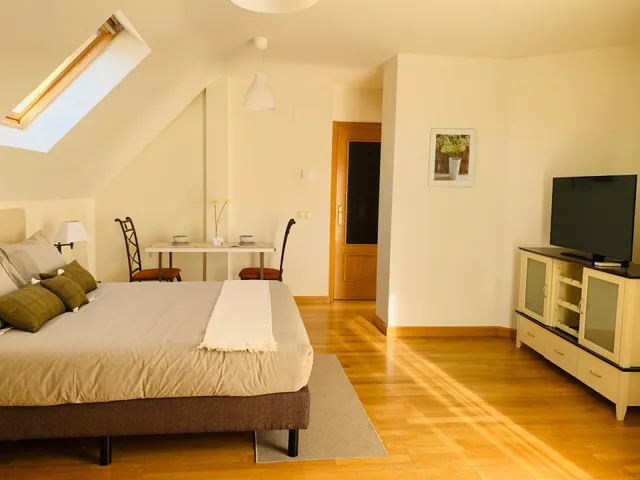 Áticos La Aliseda by gaiarooms