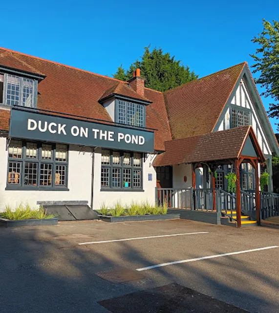 Duck on the Pond Long Itchington