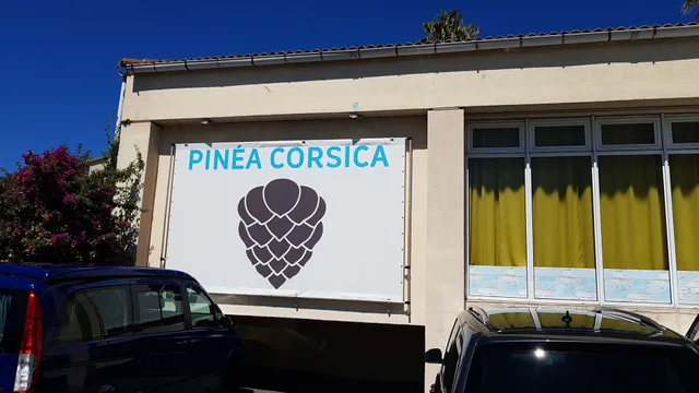 Pinéa Corsica