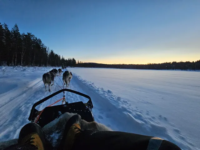 Extreme Husky Safaris