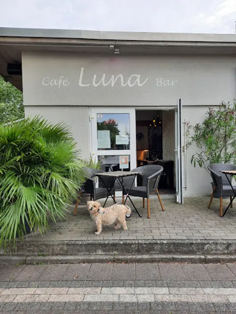 Café Luna Bar