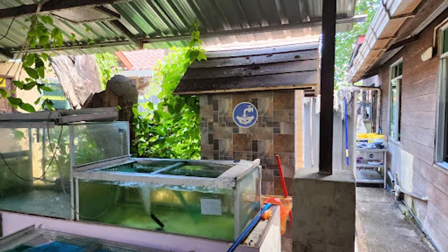 Kampung Kelapa Restaurant, Kudat, Sabah.