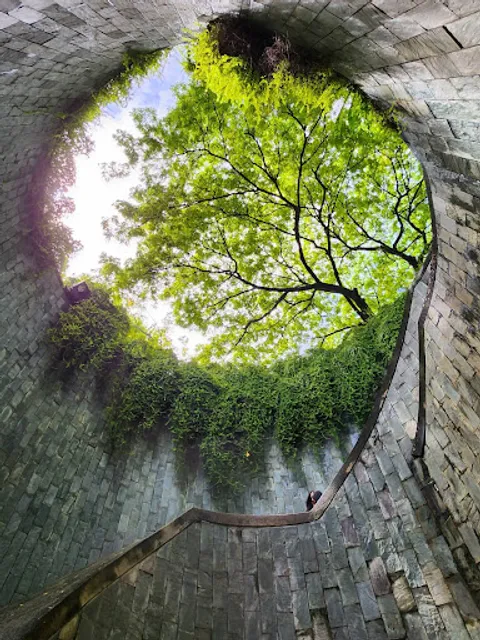 Fort Canning Tree Tunnel