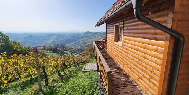 Wine Panorama House