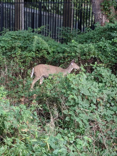 Artesian Fields County Park