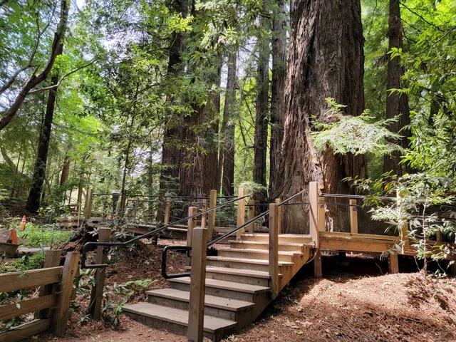 Pfeiffer Falls Trailhead
