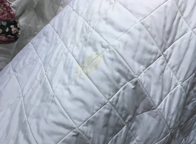 The Finger Lakes Lodge