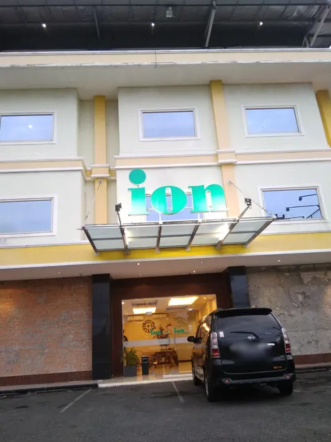 Ion Hotel