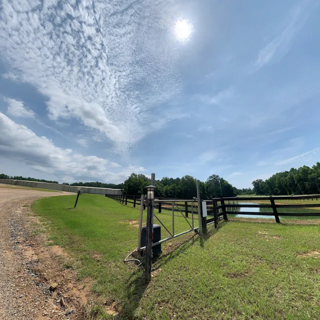 Southeastern Gin & Peanut