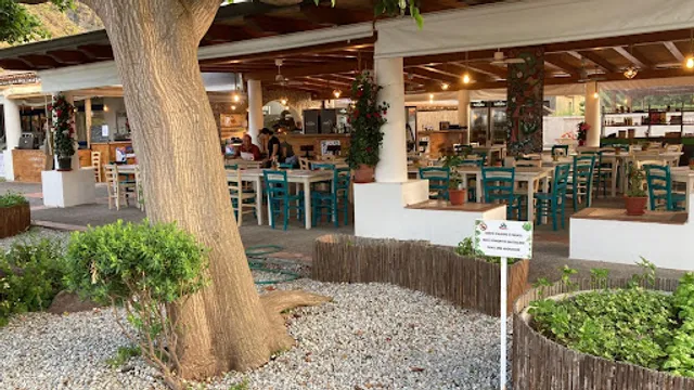 9852 vulcano home restaurant