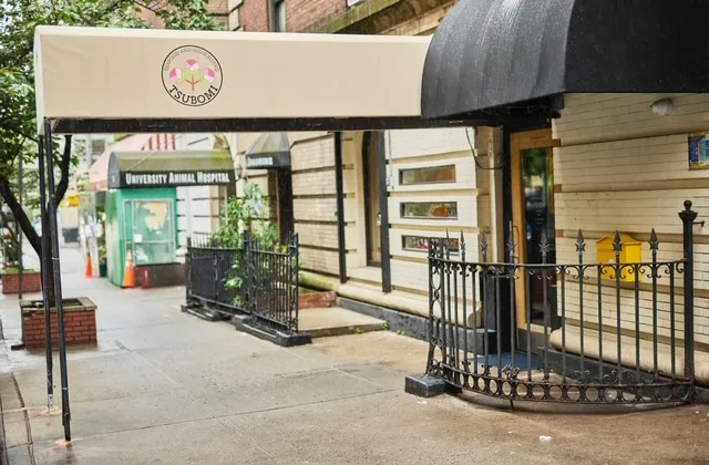 Seafood and Sushi Bistro TSUBOMI