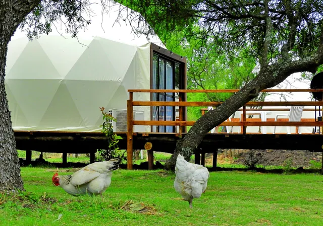 Glamping Ñae Guazú