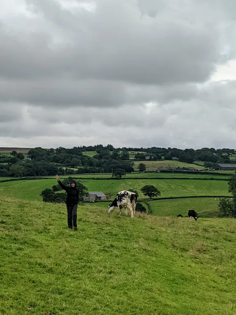 Lane House and Cottage