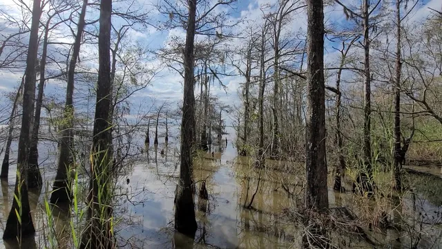 Jocelyn Nungaray National Wildlife Refuge Museum
