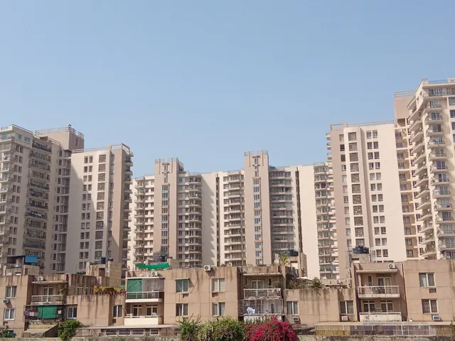 The Woodstock Floors