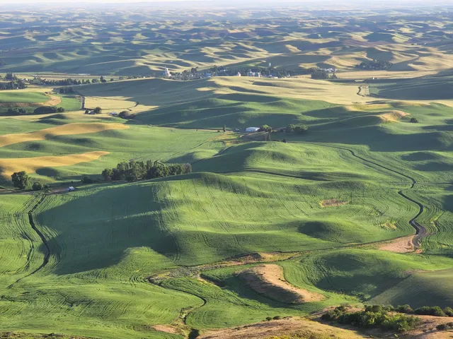 Steptoe Butte