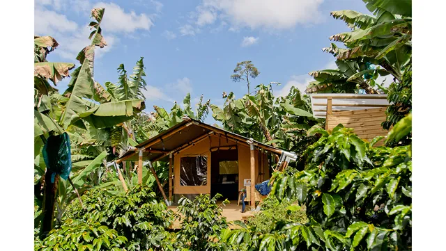 Glamping Jardín
