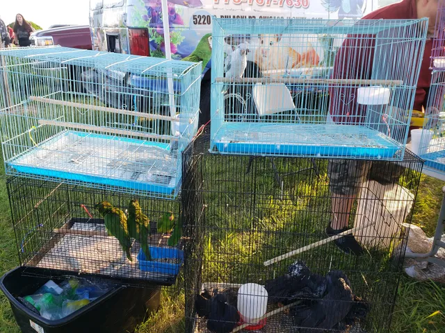 Wolf's Giant Animal Swap Meet