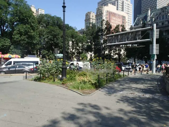 Living Memorial Grove