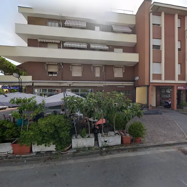 Leon d'oro di Wu Wuyi