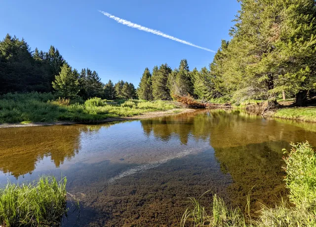 Upper Truckee River Trail