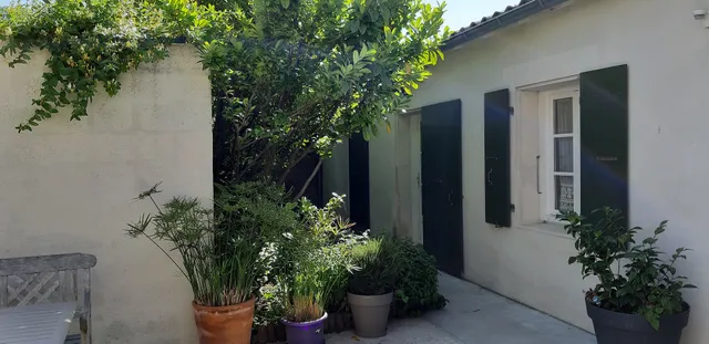 The Fillattes - Bed and Breakfast - Island of Re