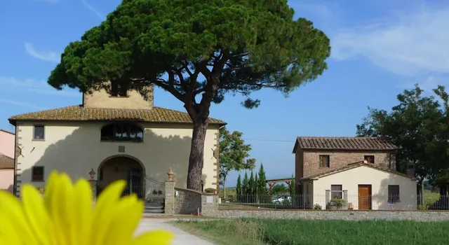 La Leopoldina Dei Fabbri