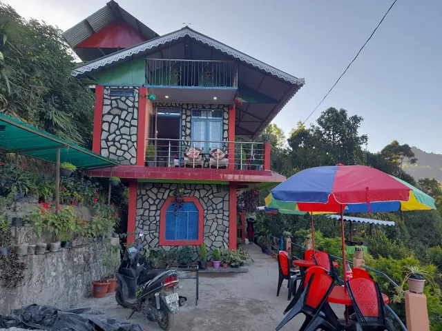 Orange Tree Homestay