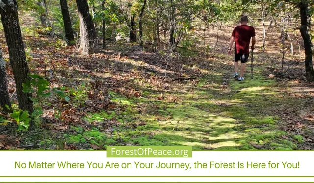 Osage Forest of Peace