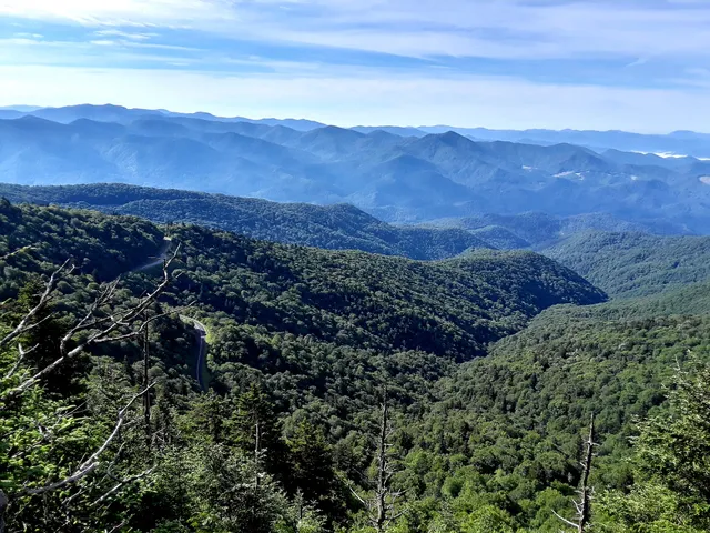 Browning Knob Overlook