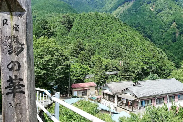 梅ヶ島温泉 湯の華