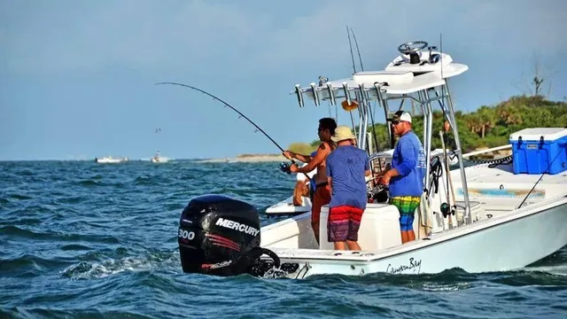 Tampa Fishing Charters