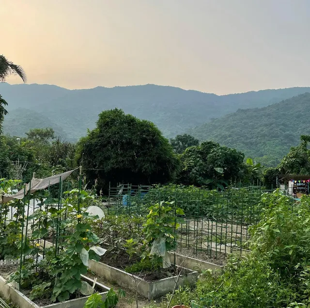 New Zealand Organic Farm Hong Kong