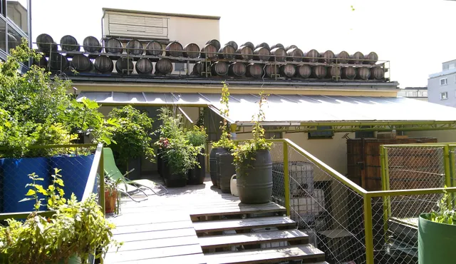 Wiener Gäste Zimmer