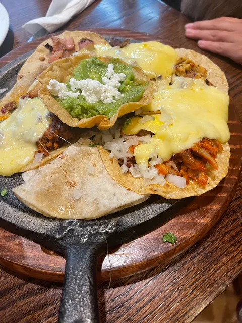 El Fogoncito (AME-T2 - Salidas Internacionales)